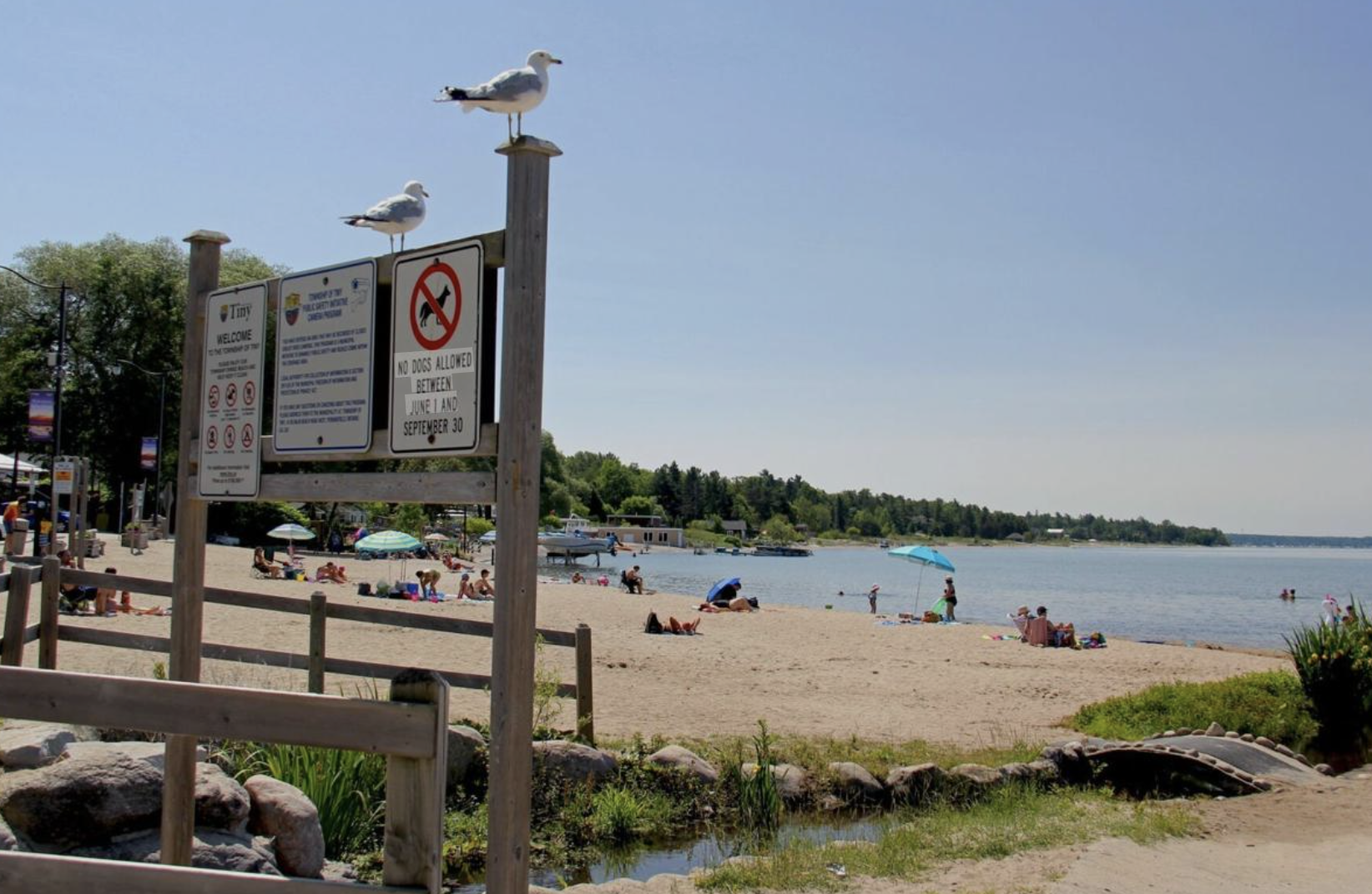 Beach in Tiny Township